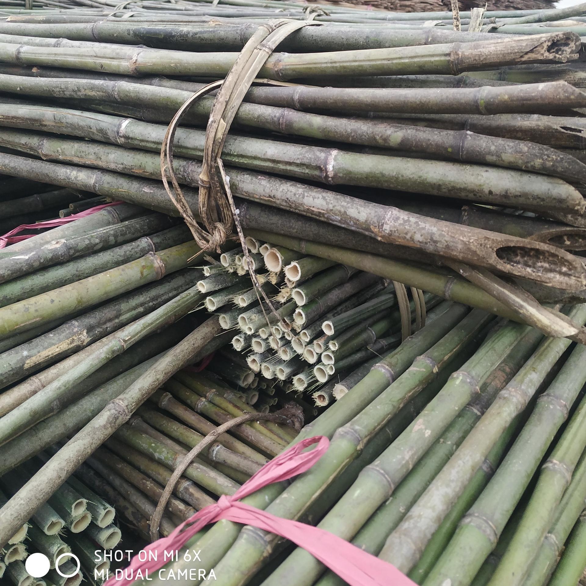 竹竿厂家长期供应批发蔬菜支架小竹竿 养殖蔬菜温棚竹竿 树木支架竹竿