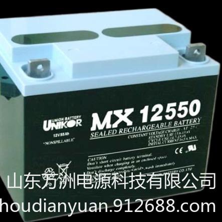 友联蓄电池MX12550  友联12V55AH 免维护UPS不间断电源电池 阀控应急电池
