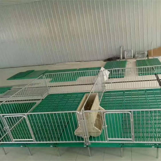 小猪双体保育床 猪用连体保育床 小猪保育栏 仔猪保育床厂家图片
