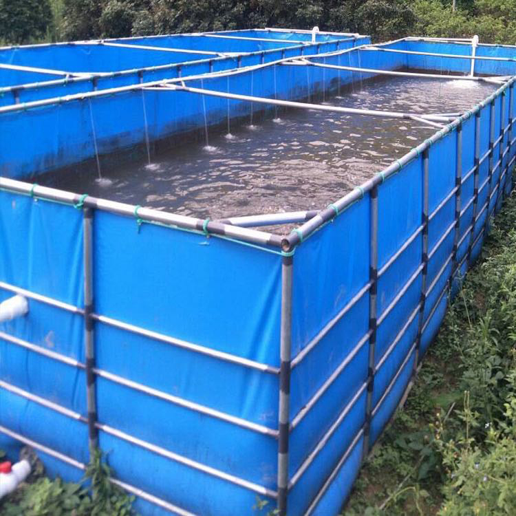 大型帆布水池 定制支架养鱼水池 水产运输折叠鱼池 海篷