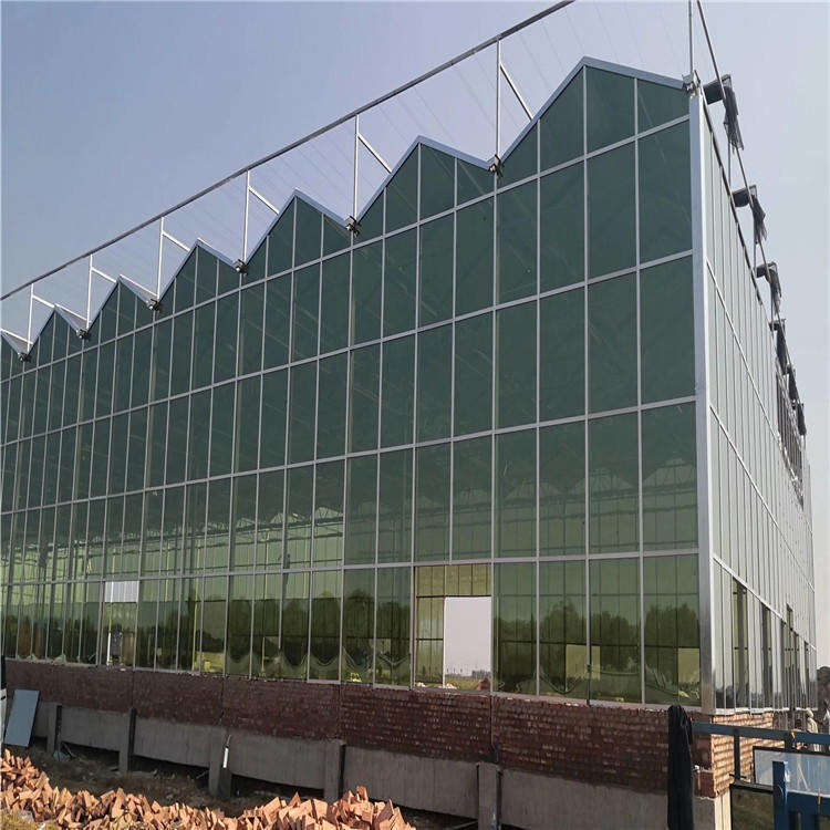 蔬菜玻璃温室大棚 实验玻璃温室 玻璃温室厂家直供 博伟