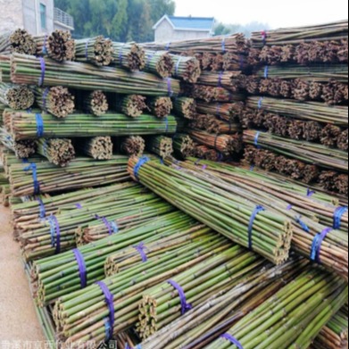 京西竹业  厂家直销绑扶矮化密植型苹果树专用优质4米小竹竿 欢迎选购图片