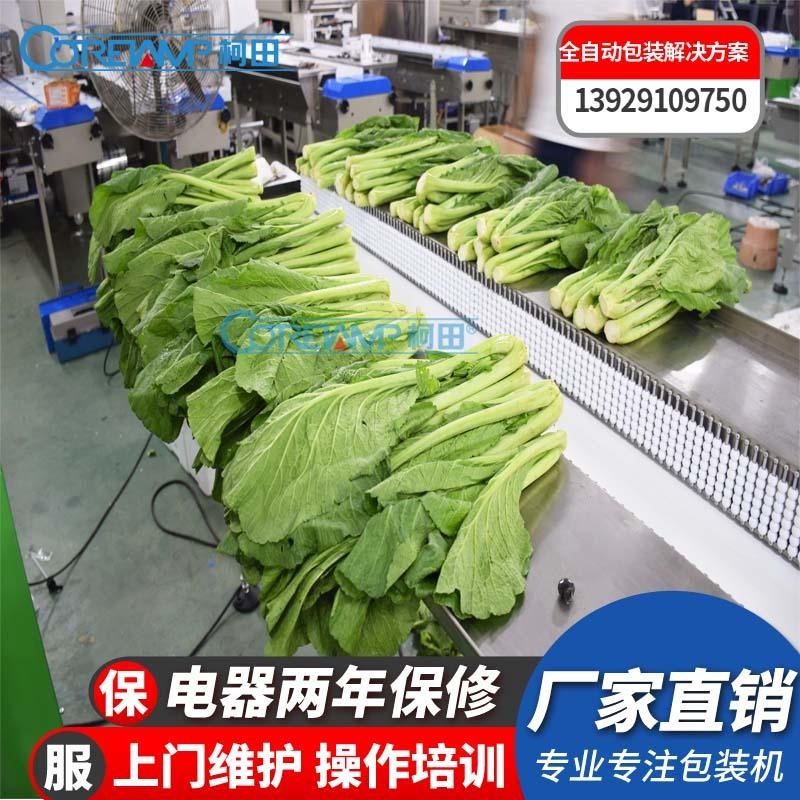 下走膜伺服叶菜包装机  电商多种蔬菜套袋 机 柯田厂家