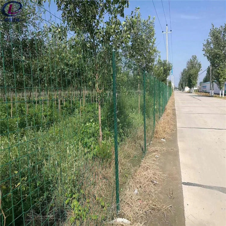 养殖围栏网 果园养殖围栏网 PVC浸塑养殖荷兰网护栏 德兰品质供应