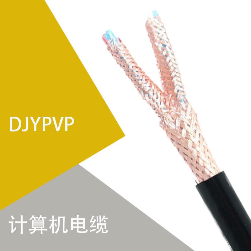 耐高温计算机电缆DJFVRPDJFPRV耐高温电缆DJFPVRP计算机用电缆