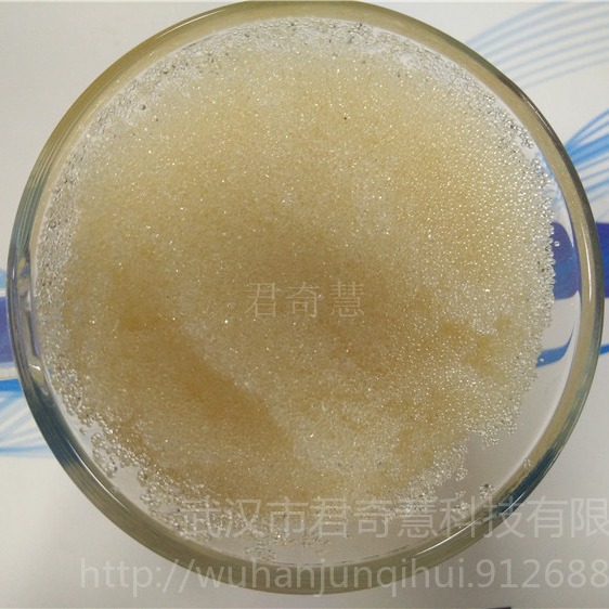 201x7强碱性阴离子交换树脂 超纯水水处理树脂 劲凯 糖液除盐脱色交换树脂