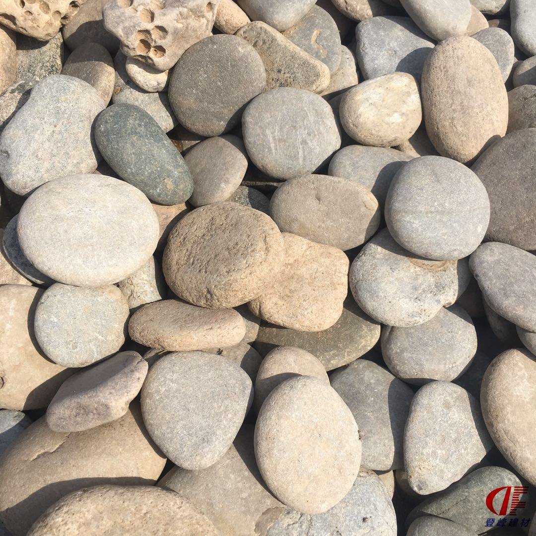 天津厂家批发 滤料鹅卵石 精致鹅卵石 墙面用鹅卵石 质量保证