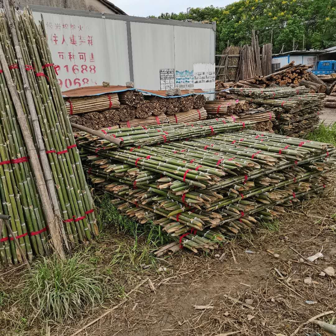撑树用竹秆厂家 竹篙 竹稍 毛竹尾 渔业插网打桩用 竹竿 量大从优
