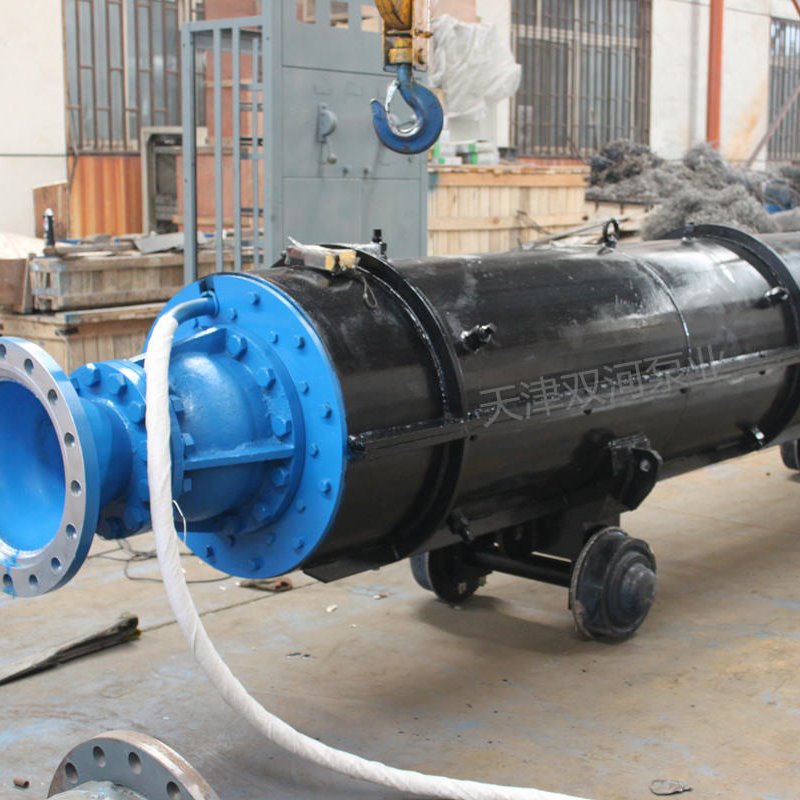 双河泵业提供大流量高扬程矿用潜水泵 300QJ200-219/9     大流量矿用潜水泵   矿用潜水泵厂家直销