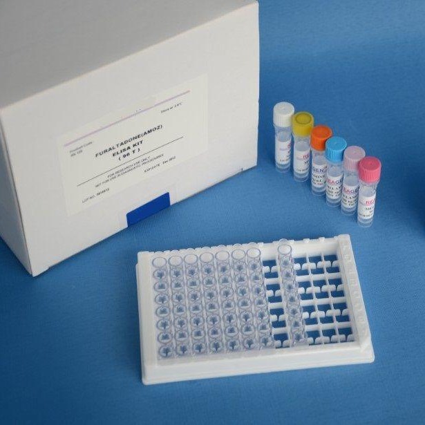 人谷胱甘肽S转移酶P1(GSTP1)ELISA试剂盒说明书图片