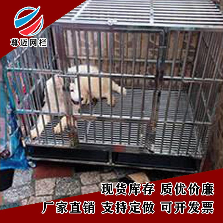 尊迈狗笼子厂家 生产加工猛犬专用笼 不锈钢狗笼现货 批发可组装狗笼供应锦州