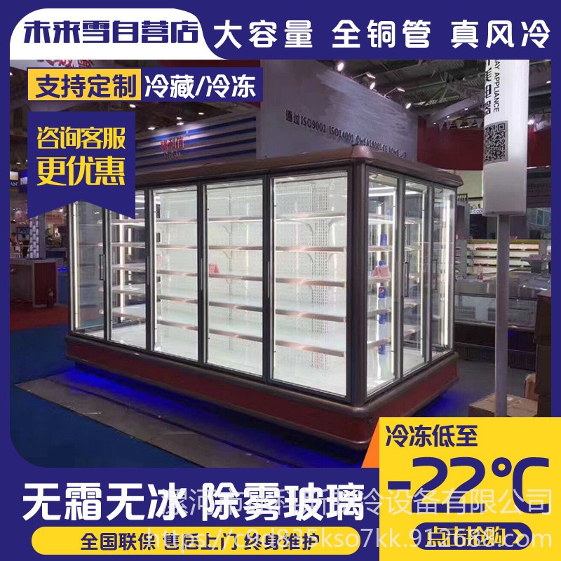 冰科斯-WLX-LSLD-24供应两门立式冷冻柜 三门立式冷冻柜 冷冻柜价格 低温食品保鲜柜 玻璃门冷藏柜