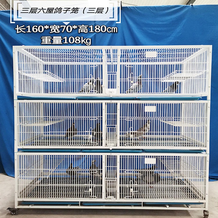 广西赛鸽专用笼 繁殖配对鸽笼 3层6室折叠鸽笼 中间带防水食盒 全国发货