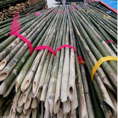京西竹业  批发绿化工程、园林苗圃、造地工程、防潮防寒用的大小竹竿