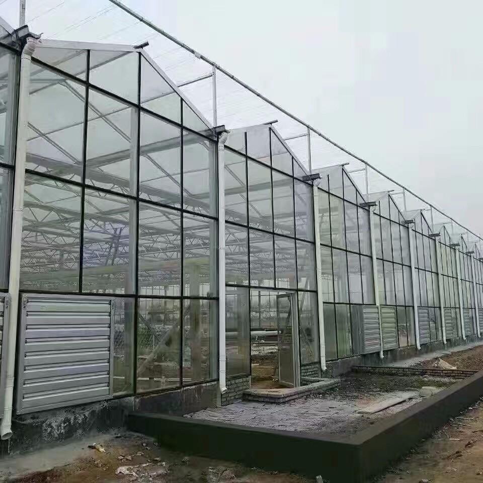 玻璃温室 现代化玻璃大棚 生态玻璃温室厂家 博伟