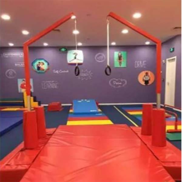 小小运动馆儿童体操吊环 厂家直销儿童吊环 儿童爬行架 供应儿童早教器材