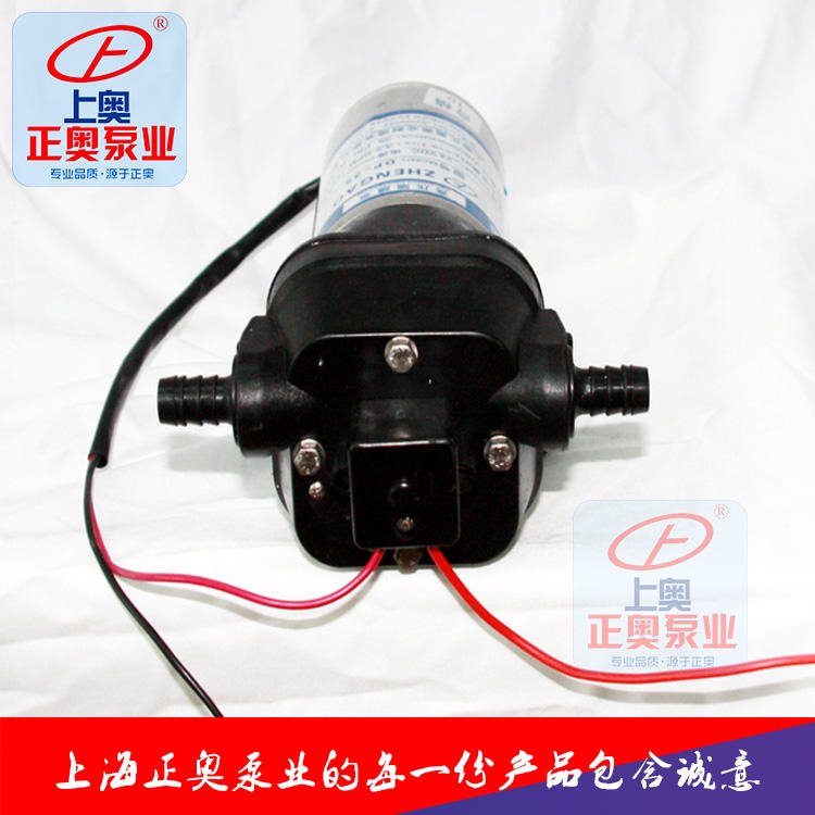 正奥泵业DP-100A微型24V工程塑料耐腐蚀隔膜泵电动泵