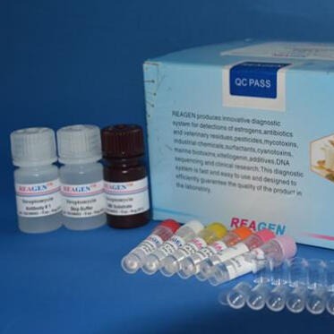 大鼠载脂蛋白H(Apo-H)ELISA试剂盒