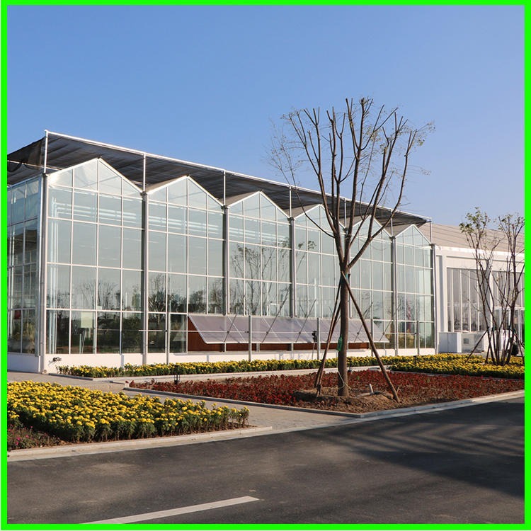 厂家直销玻璃温室大棚 设计安装玻璃温室 连栋玻璃温室 嘉诺温室用心服务