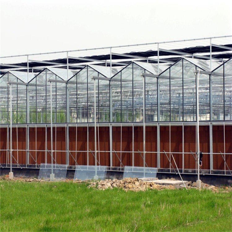 温室厂家 玻璃温室建设 智能连栋温室大棚 博伟温室