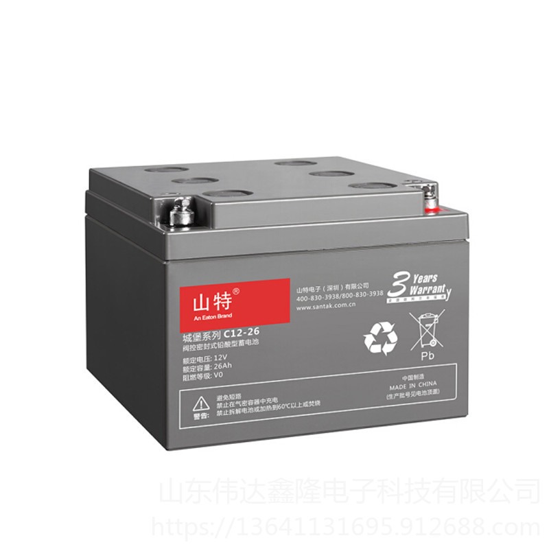 山特城堡系列蓄电池厂家C24/12V24Ah促销SANTAK蓄电池现货图片