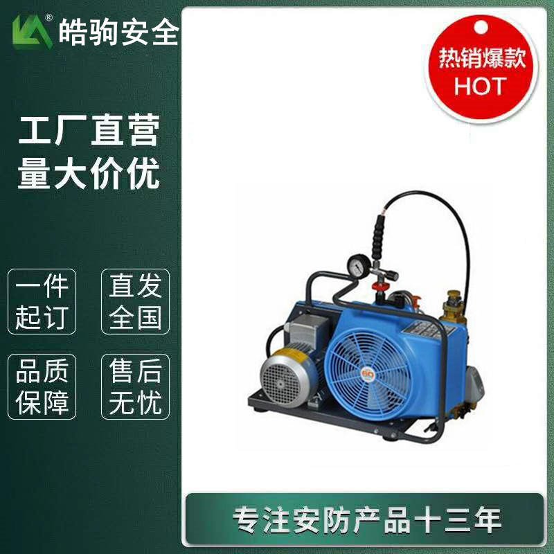 上海皓驹 BC163099B 霍尼韦尔巴固 电动充气泵 空气呼吸器充气泵  高压空气压缩机