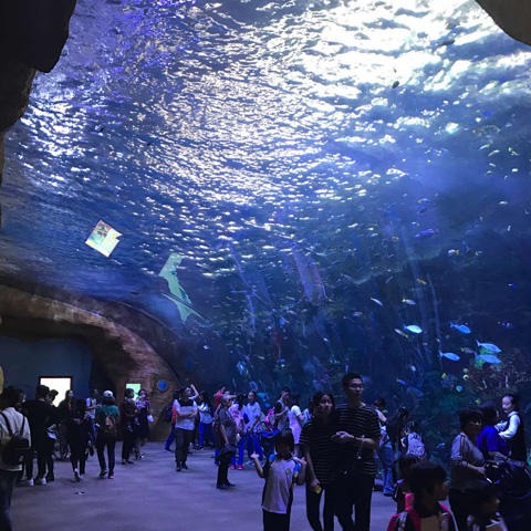 lanhu海洋馆设备 新型环保水族馆鱼缸设备 主题公园海洋馆造景亚克力鱼缸 水族工程