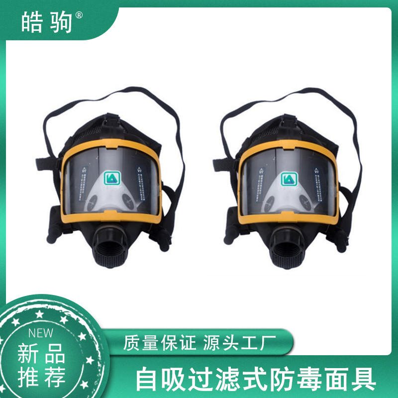 皓驹 HJF05  消防救险救灾卫生应急  个人防护器材   GB2890-2009 全面具呼吸器半面具