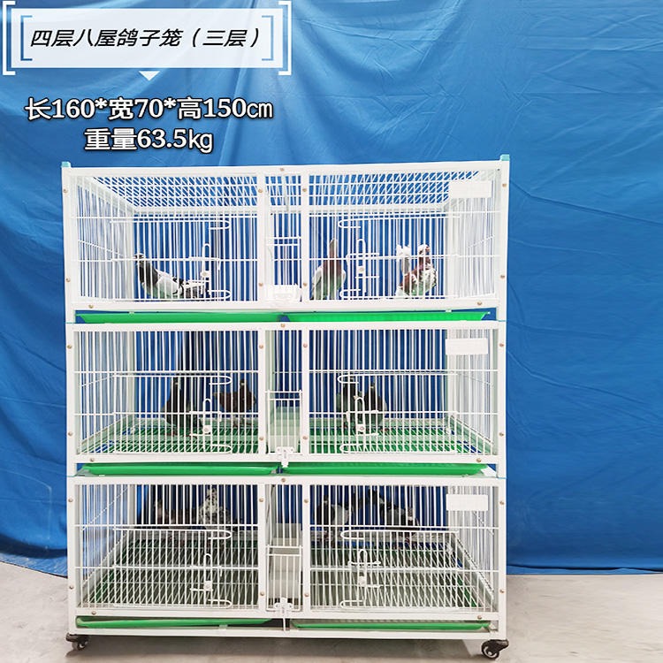 茂名配对鸽子笼 加密鸽舍带食槽 三层六格繁殖笼 种鸽配对笼厂家