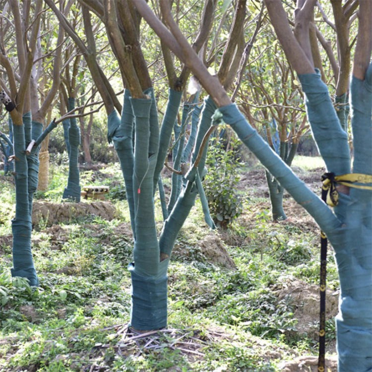 植物保护缠绕裹树布 加厚绿色包树布 果树保温包树布条 一匡 厂家直供