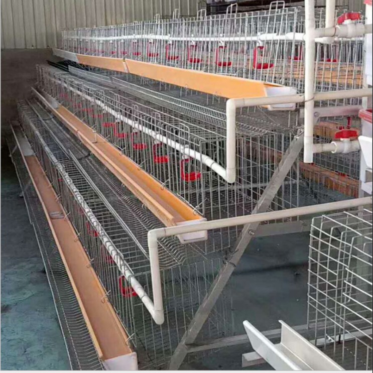 养鸡笼厂家 热镀锌层叠式鸡笼 现货供应鸡笼鸡舍定做价格优惠