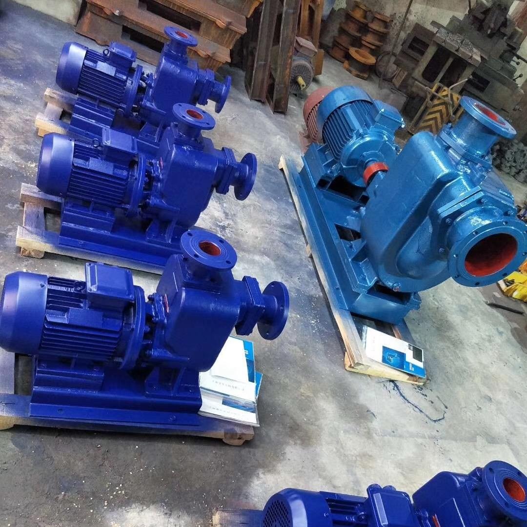江苏蓝升泵业65ZX30-15分体式自吸式离心泵  65ZXL30-15直联式自吸泵 ZXPB不锈钢防爆自吸泵
