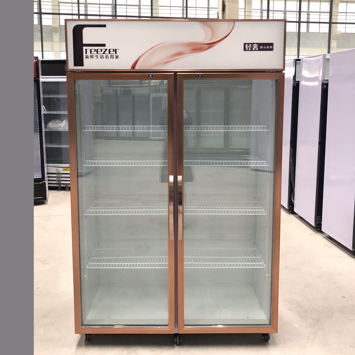兰考立式饮料柜   双门饮料柜  冷藏饮料柜· 厂家定制 未来雪冷柜 WLX-YLG23