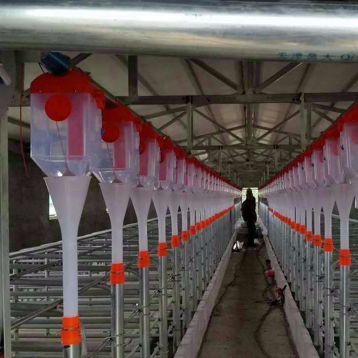世昌畜牧 自动化养猪设备 喂料线安装厂家