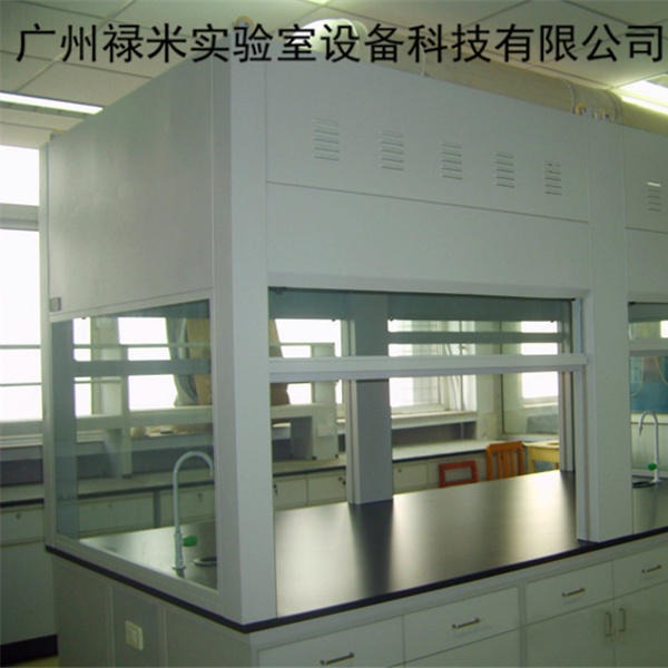 实验室台上型通风柜 桌上型双面通风柜 通风系统 禄米实验室家具定制 LM-TFG2