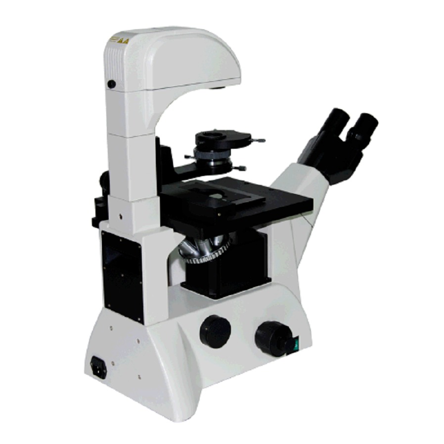 LWD300-38LT 无限远倒置显微镜 国产显微镜 德州 莱芜