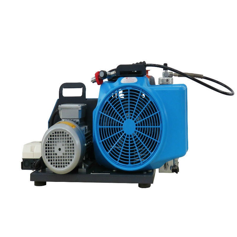 梅思安10181242（替代老款9960028）高压呼吸空气压缩机100TW 单相电机图片