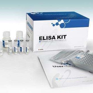 人糖基化终末产物试剂盒 AGE试剂盒 糖基化终末产物ELISA试剂盒
