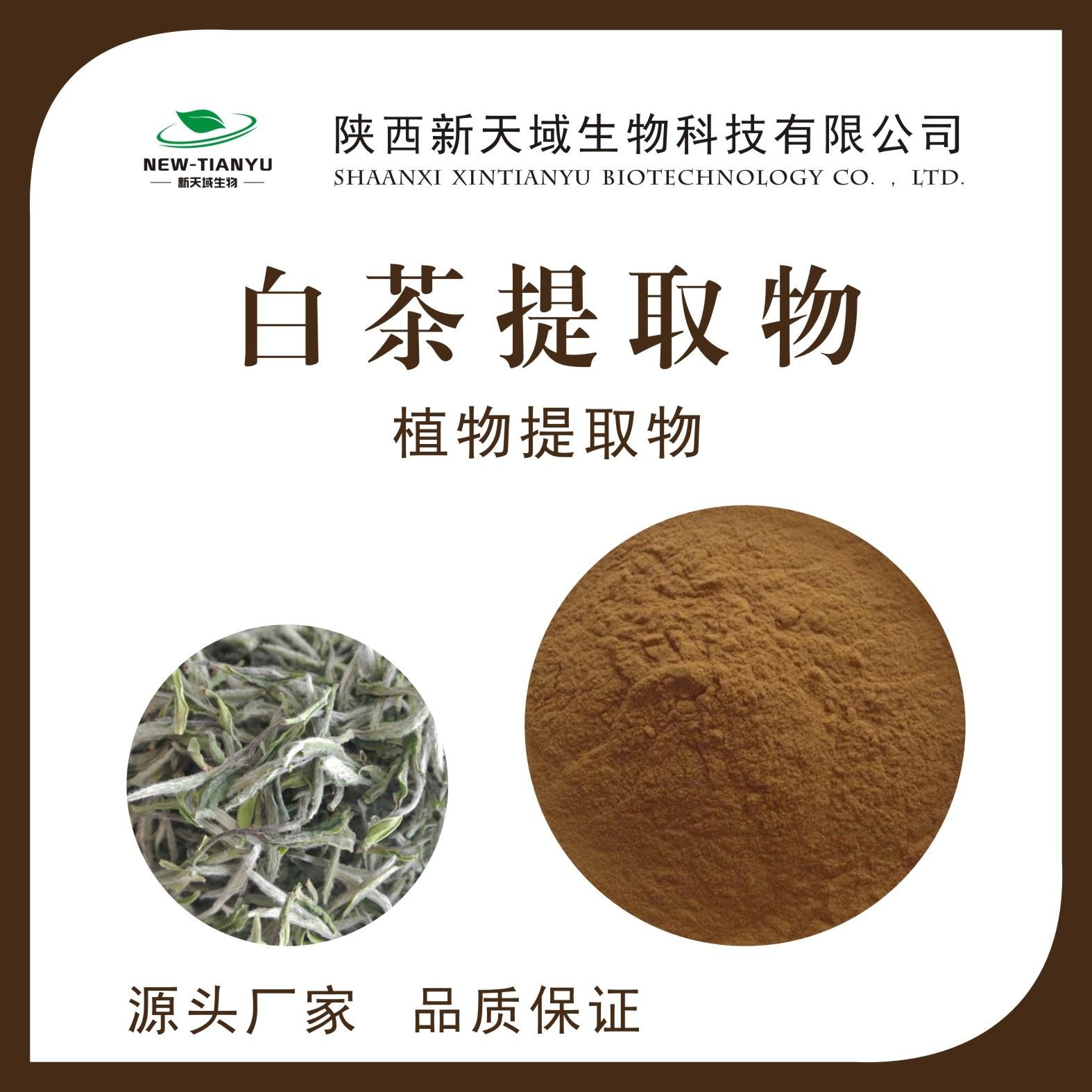 白茶提取物 白茶浓缩粉 白茶喷雾干燥粉 生产厂家 厂家现货