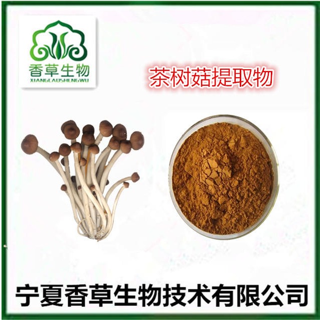茶树菇提取物20:1 茶薪菇速溶粉厂家 茶树菇冻干粉 柳松茸粉图片
