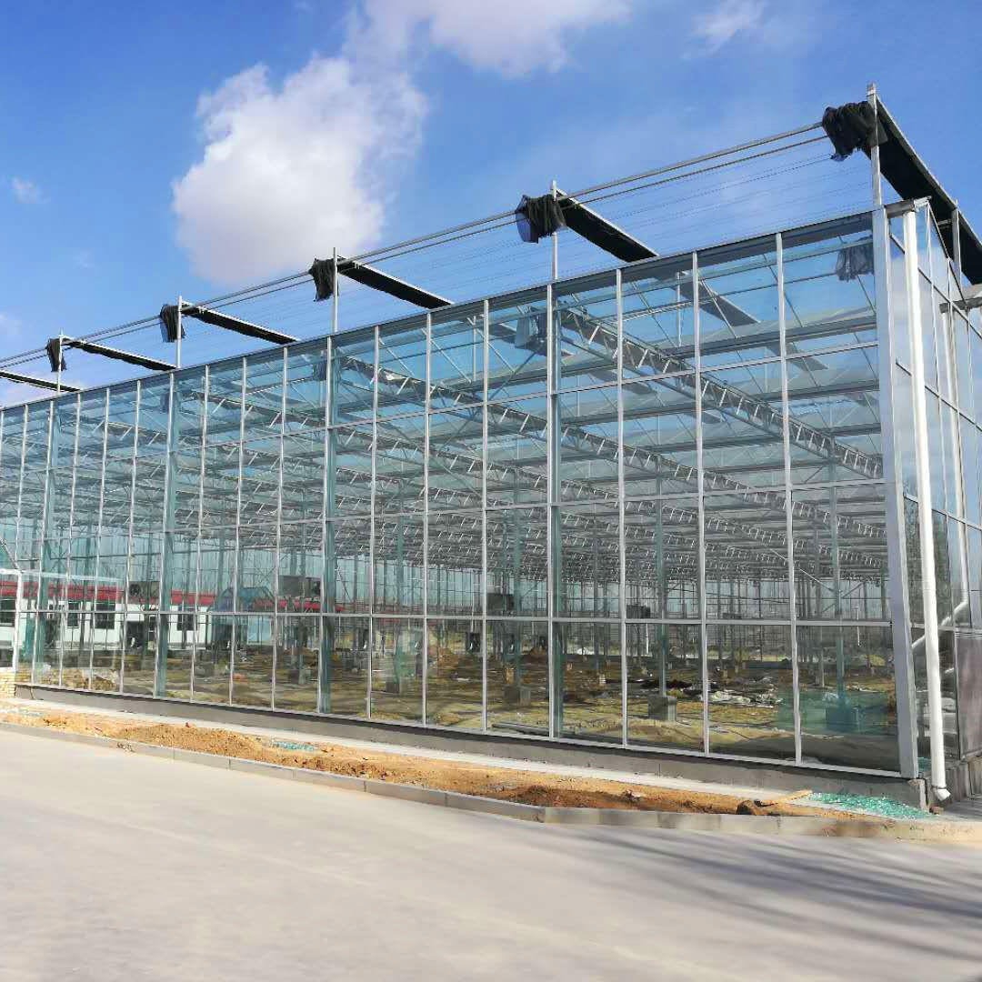 博伟 花卉智能玻璃温室 玻璃温室 玻璃温室大棚