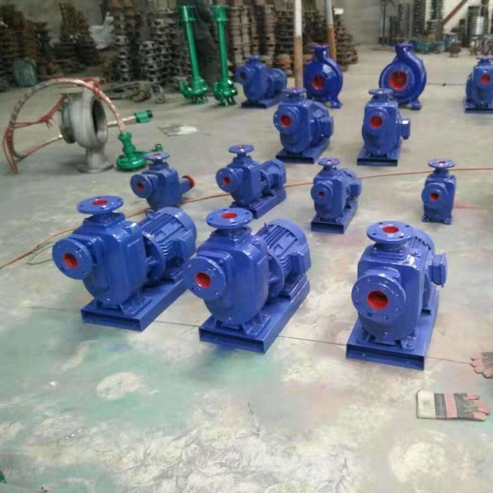 泉途泵业 ZX 自吸泵 100ZX100-20 系列 自吸泵厂家图片