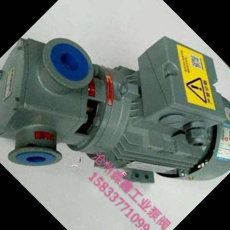 RXB-40铸钢高性能挠性转子泵 齿轮泵 强自吸多种途自吸泵小尺寸大流量 方便使用 技术参数