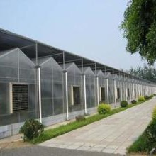 青州鑫泽厂家直销 阳光板温室一平米价格 供应塑料阳光板温室 山东阳光板温室图片