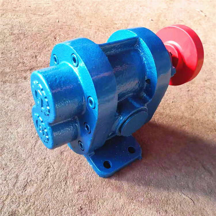 华海 2CY2.1/2.5不锈钢增压齿轮泵 高压力大流量自吸泵2CY2.1/2.5图片