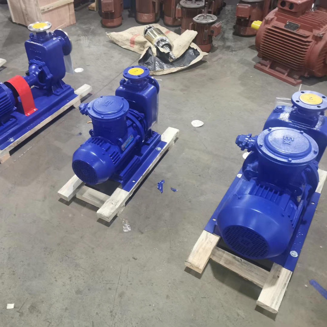 蓝升泵业CYZ型移动式自吸油泵  40CYZ-A-20防爆自吸泵 铜叶轮防爆汽油自吸泵 不锈钢防爆自吸油泵