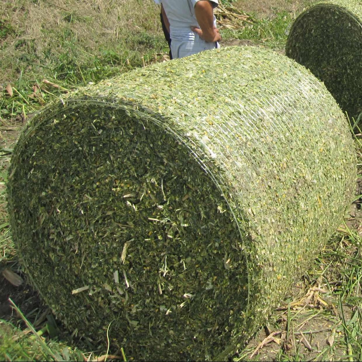 畅达通打包专用网 牧草专用打包网 牧草打捆网 秸秆捆草网 PE牧草网 多种尺寸