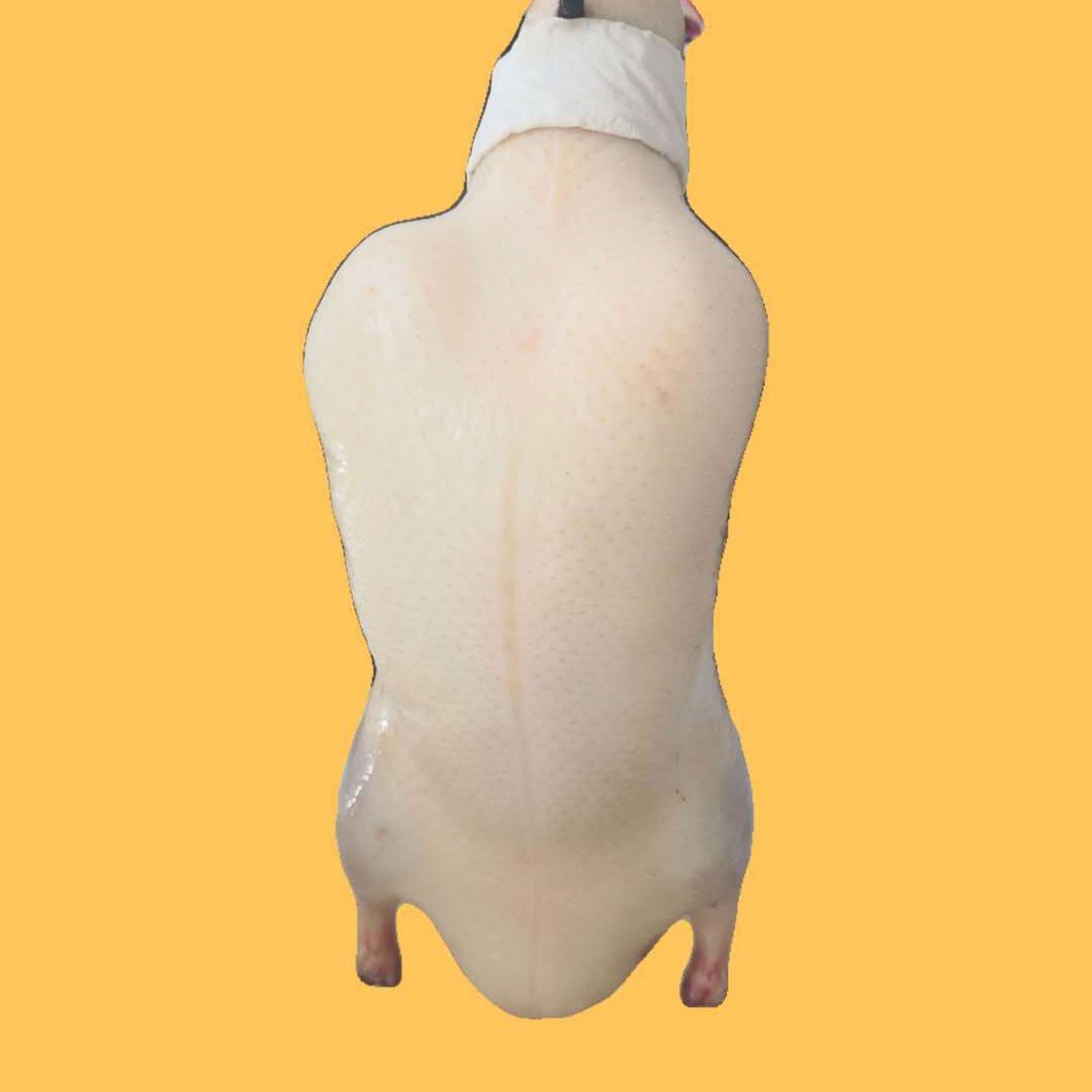 厂家直销充气鸭坯 四系鸭胚 烤鸭半成品及专业配送