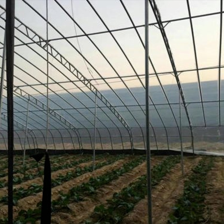 丞昊农业供应 陕西 种植蔬菜大棚 双膜骨架大棚 抗风雪能力强 保温大棚