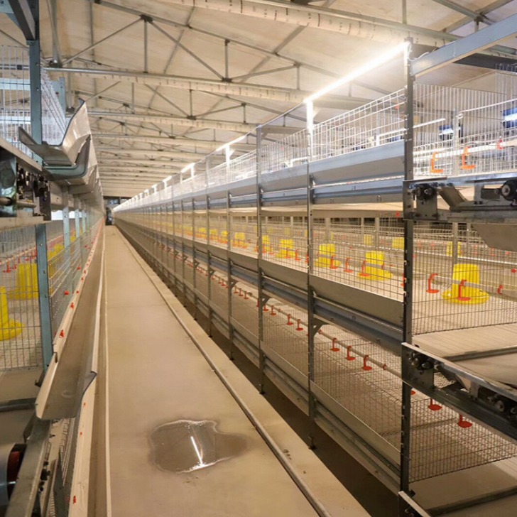 河北厂家批发立式养鸡笼 热镀锌肉鸡笼 养殖设备院子养鸡笼